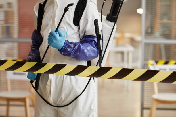 Professional Sewage Cleanup technician working in Pelham, GA